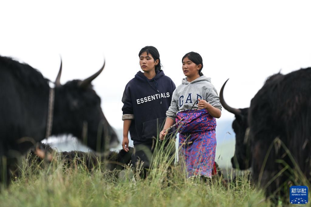 苹果老虎机怎么破解方法